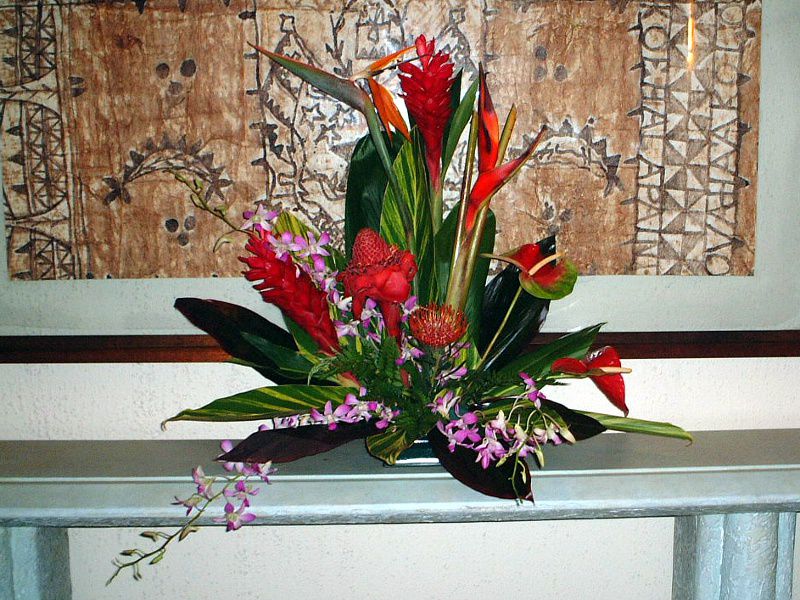 �A���s�j�A�E�v���v���^(Alpinia purpurata)200/8/11