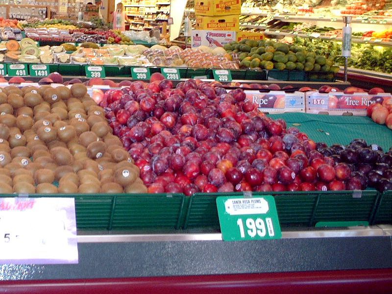 �T���^���[�U�v����