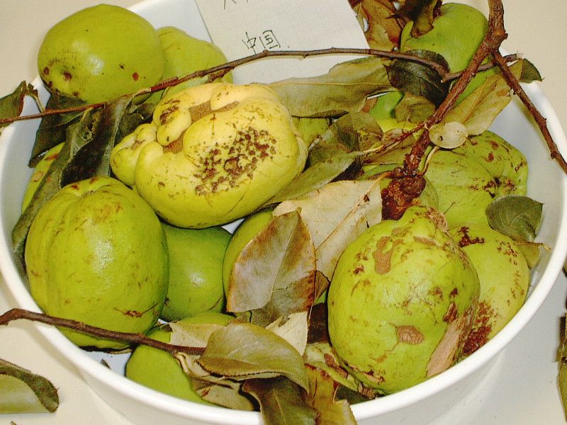 �J����