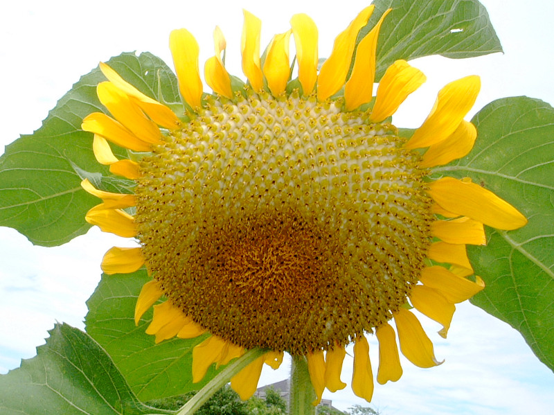 �q�}�����i�������j