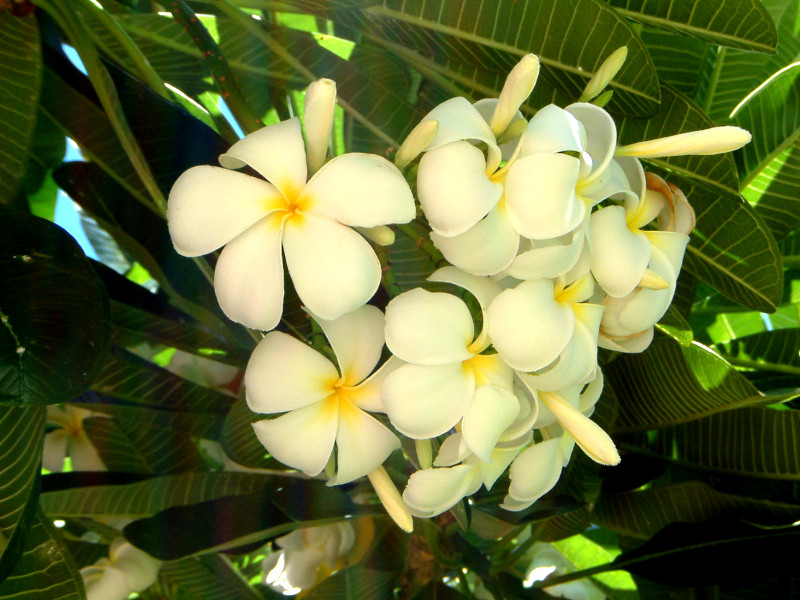 �v�������A