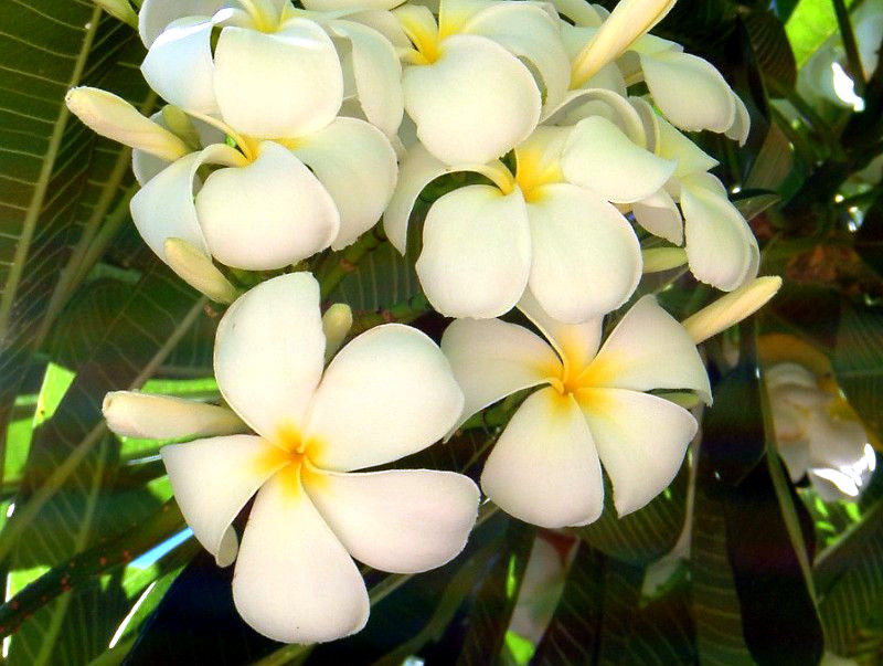 �v�������A
