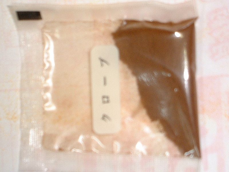 �N���[�u(Clove)
