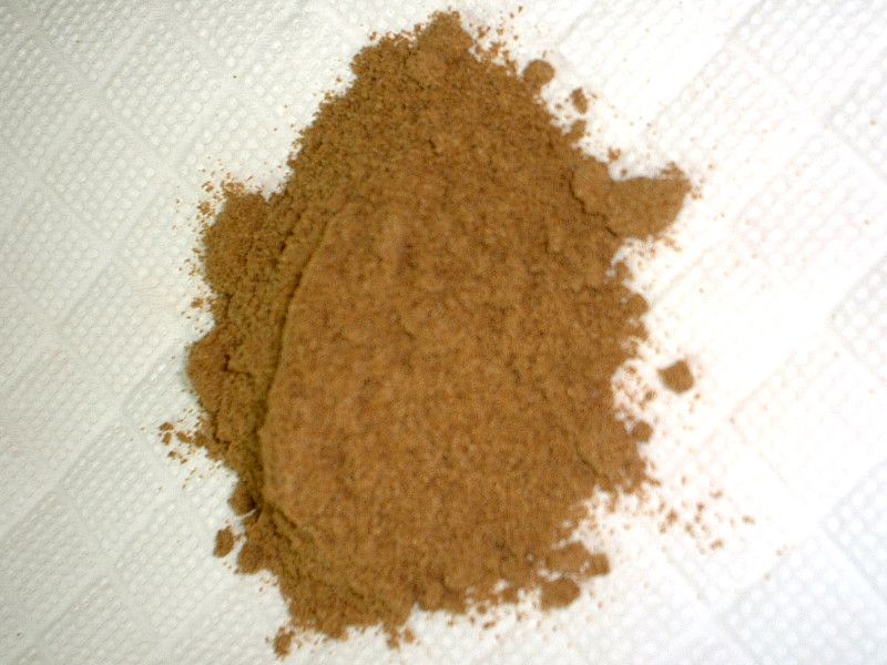 �R���A���_�[(coriander)
