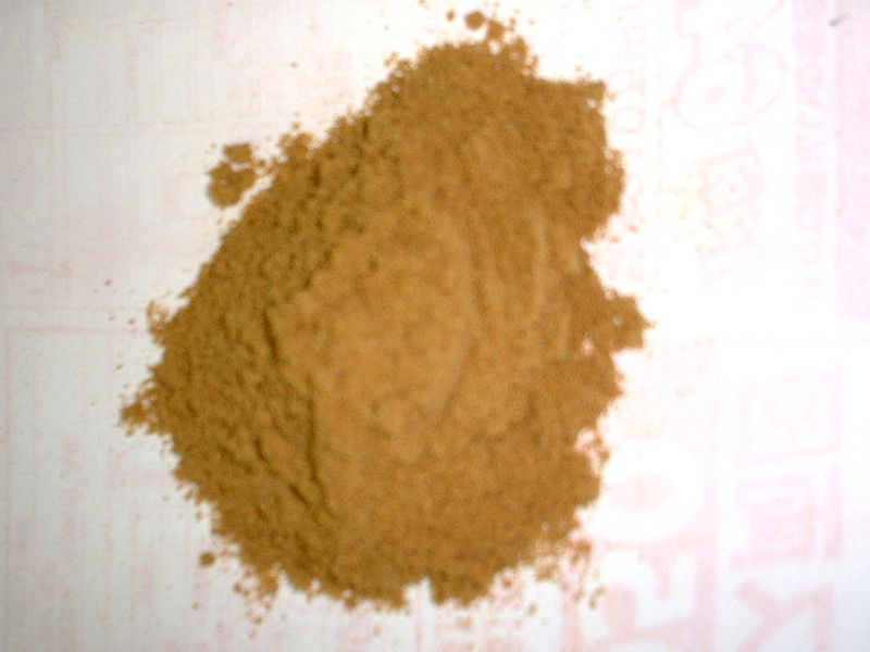 �N�~���V�[�h�iCumin seed�j