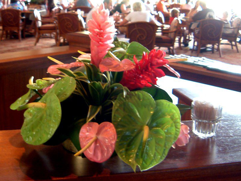 pink-red-ginger