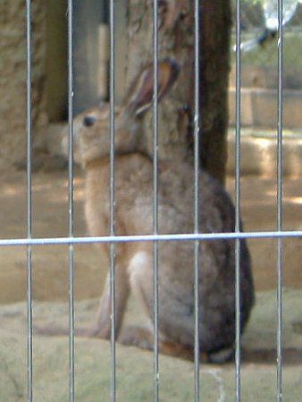 �L���E�V���E�m�E�T�M