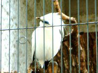 �J�������V�����N�i�������j
