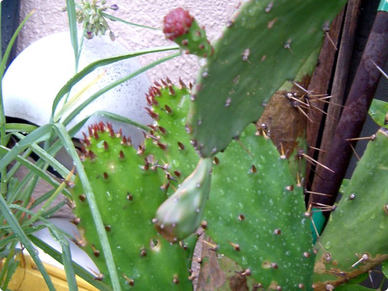 �E�`���T�{�e���i�c��T�{�e���j