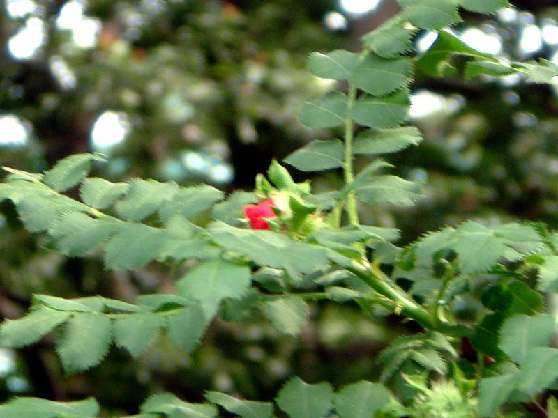 �T���V���E�o��