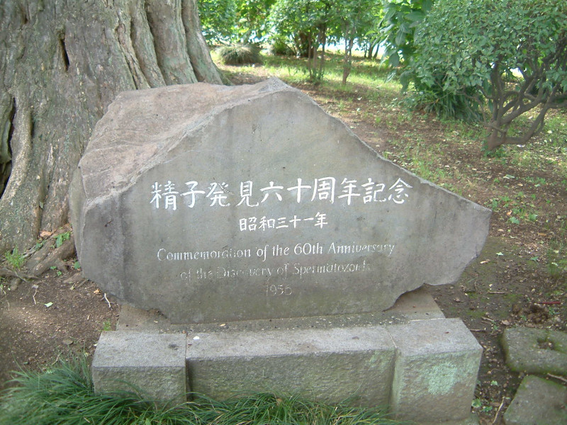 �C�`���E