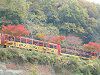 22005�N11��27���A�ےÐ쉺��