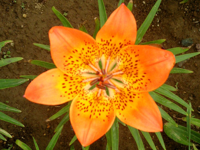 �G�]�X�J�V����