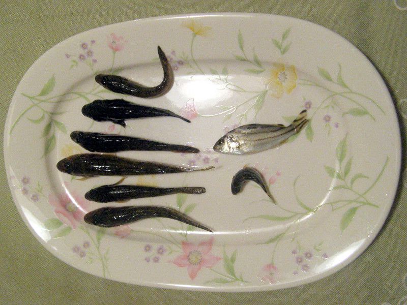 �މ�