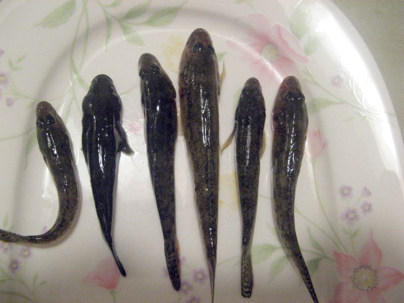 �މ�