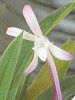 �n�s��#c9e673