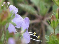 �L�N�o�N���K�^�i�e�t�L�`�j68