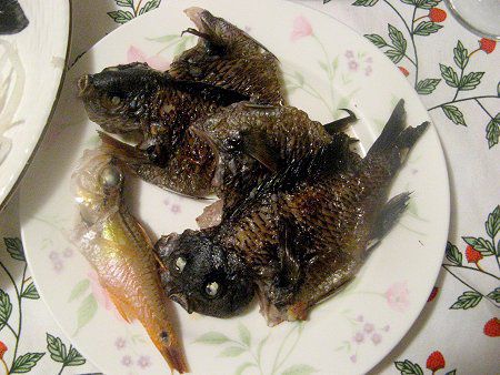 �l���u�c�_�C