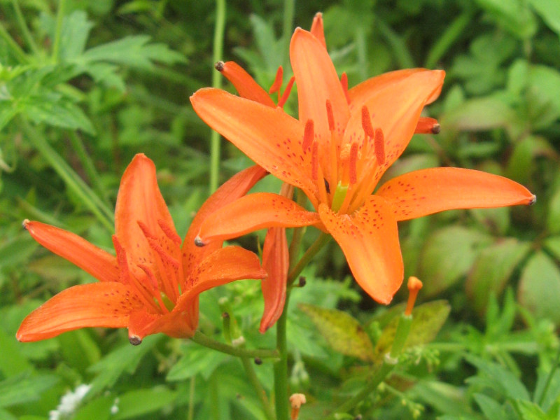 �q������(�P�S��)