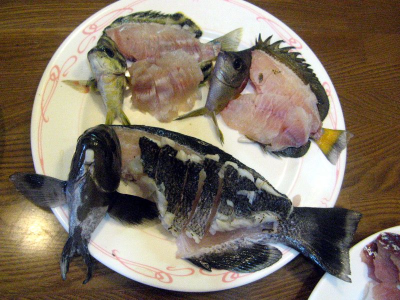 �މʂ̎p����