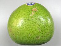 �|����(Pomelo)