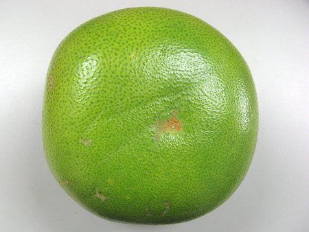 �|�����iPomelo�j
