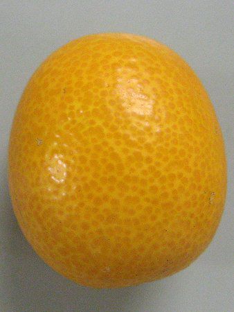�L���J���i�����j