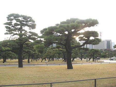 �}�c(��)