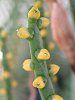 �^�s��#c9e673