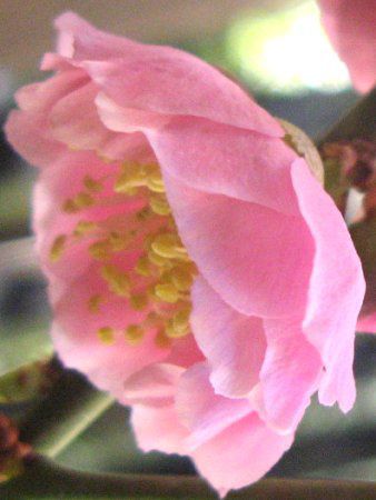 �E���E�~�EUME
