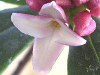 �W���`���E�Q