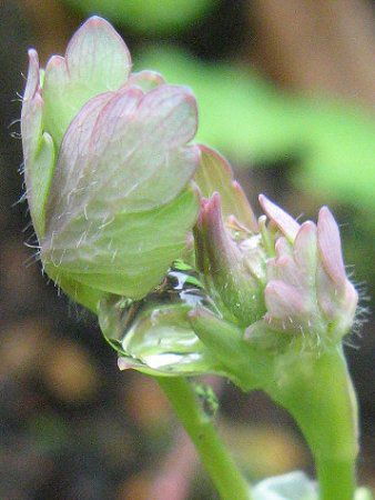�N�������L�t�f�i��֐�M�j
