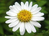�n�R�l�M�N�i�����e�j