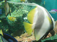 �n�^�^�e�_�C�i������j
