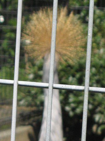 �z�I�W���J�������d��