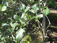 �l�Y�~���`�i�l�v�j