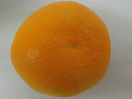 1�̉��B��������