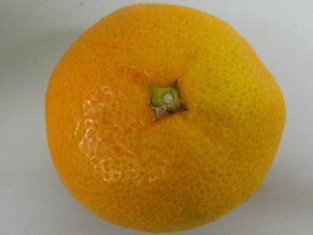 �E���V���E�~�J���i���B�����j