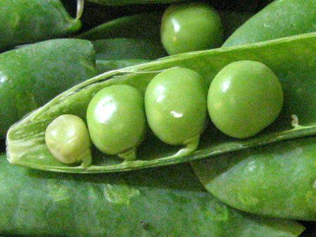 �O���[���s�[�X(Green pea) 