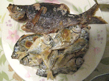 �q�C���M���Ă�