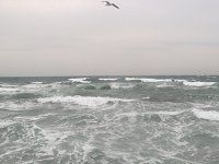 �J�����ƍr�C