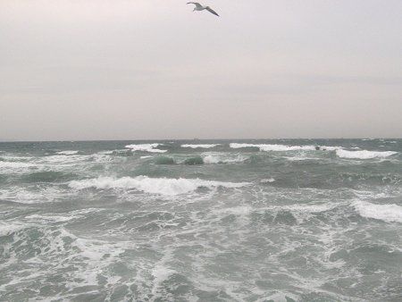 �J�����ƍr�C