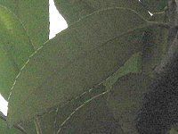 �^�����E�i�����t�j