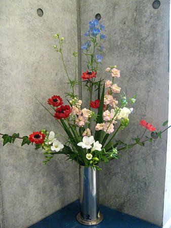 �A�l���l(Anemone)