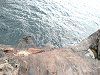 �ލ�
