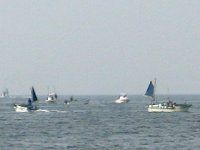 �C
