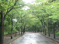 �t������
