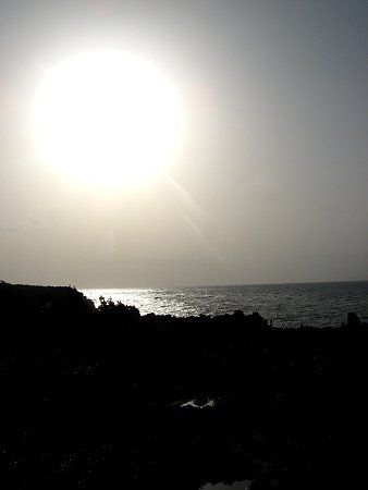 �z������