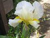 �h�C�c�A�����i�ƈ�Ҋ��j