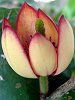 �J���^�l�I�K�^�}2